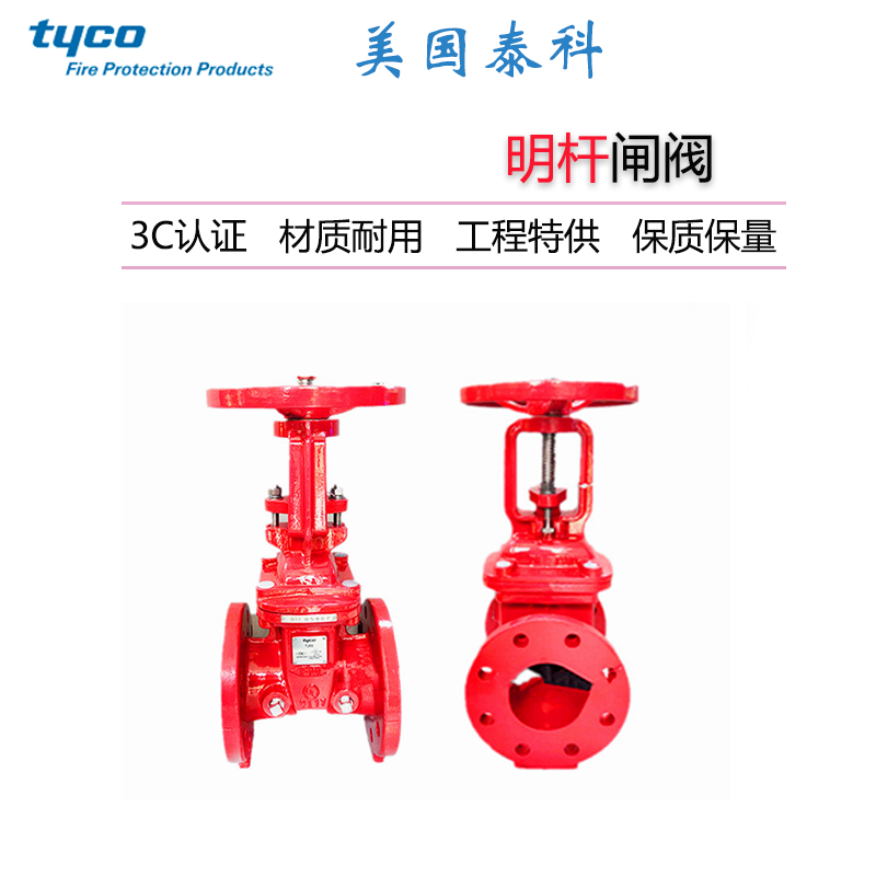 TYCO泰科消防法兰闸阀300PSI明杆法兰闸阀 FM认证闸阀